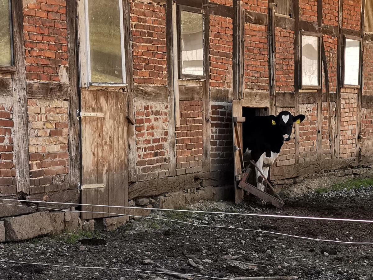 Agroturismo Ehlers Hulsede